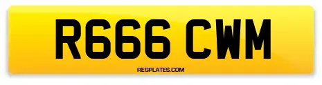 R666 CWM