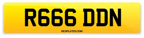 R666 DDN