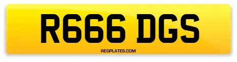 R666 DGS