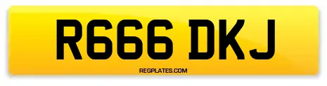 R666 DKJ