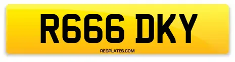 R666 DKY