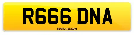 R666 DNA
