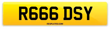 R666 DSY