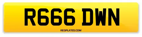 R666 DWN