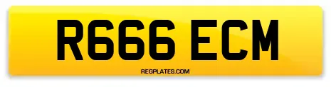 R666 ECM