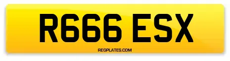 R666 ESX