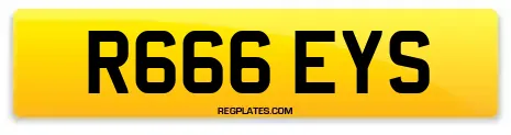 R666 EYS
