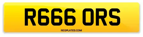 R666 ORS