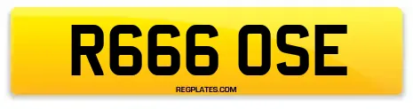 R666 OSE