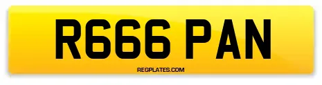 R666 PAN