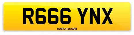 R666 YNX