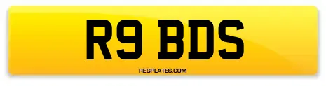 R9 BDS