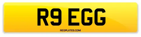 R9 EGG