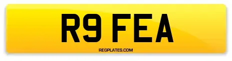 R9 FEA