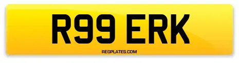 R99 ERK