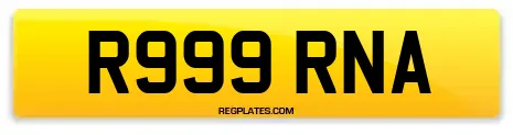 R999 RNA