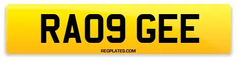 RA09 GEE