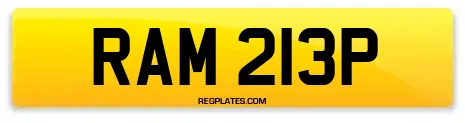 RAM 213P