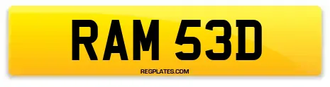 RAM 53D