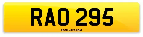 RAO 295