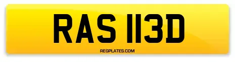 RAS 113D