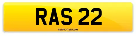 RAS 22