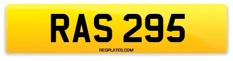 RAS 295