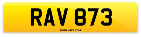 RAV 873