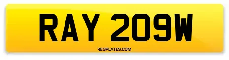 RAY 209W