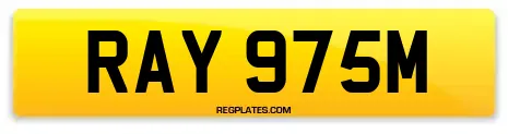 RAY 975M