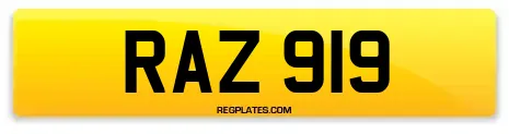 RAZ 919