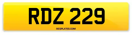 RDZ 229