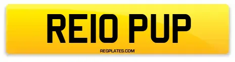 RE10 PUP
