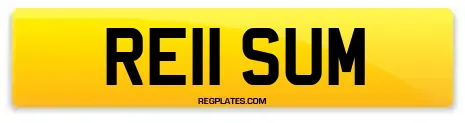 RE11 SUM