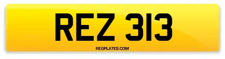 REZ 313