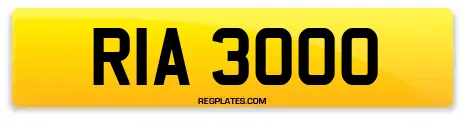 RIA 3000