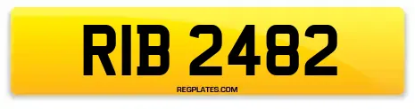 RIB 2482