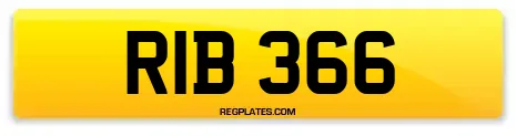 RIB 366