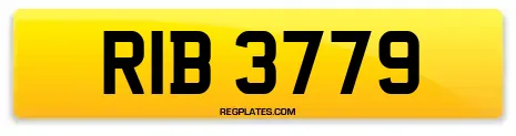 RIB 3779