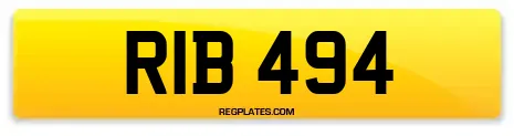 RIB 494