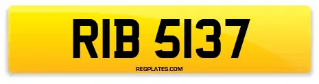 RIB 5137