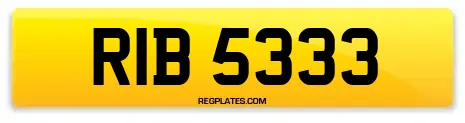 RIB 5333