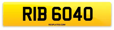RIB 6040