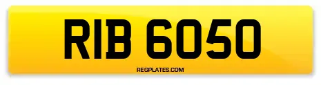 RIB 6050