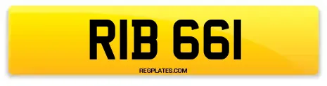 RIB 661