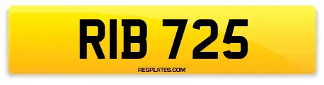 RIB 725