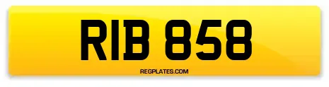 RIB 858