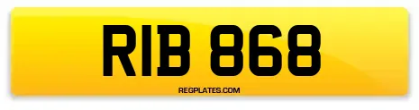 RIB 868