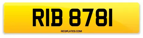 RIB 8781