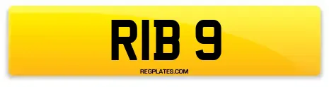RIB 9